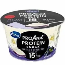 Protein pudding 15